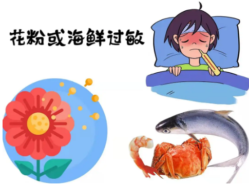 海鲜过敏 海鲜过敏